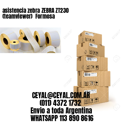 asistencia zebra ZEBRA ZT230 (teamviewer)  Formosa