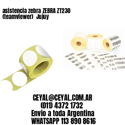 asistencia zebra ZEBRA ZT230 (teamviewer)  Jujuy