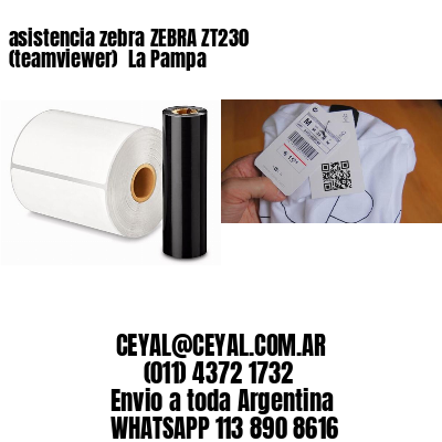 asistencia zebra ZEBRA ZT230 (teamviewer)  La Pampa
