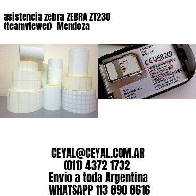 asistencia zebra ZEBRA ZT230 (teamviewer)  Mendoza