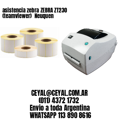 asistencia zebra ZEBRA ZT230 (teamviewer)  Neuquen