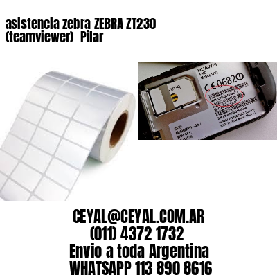 asistencia zebra ZEBRA ZT230 (teamviewer)  Pilar