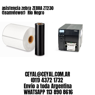 asistencia zebra ZEBRA ZT230 (teamviewer)  Rio Negro