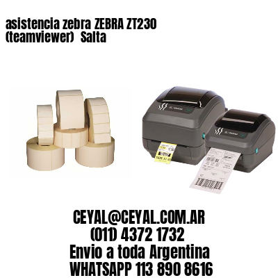 asistencia zebra ZEBRA ZT230 (teamviewer)  Salta