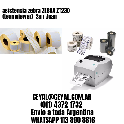 asistencia zebra ZEBRA ZT230 (teamviewer)  San Juan