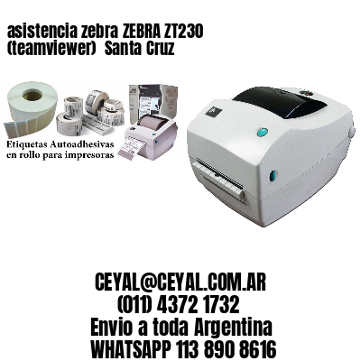 asistencia zebra ZEBRA ZT230 (teamviewer)  Santa Cruz