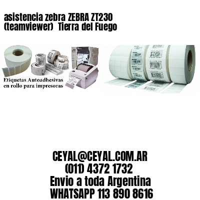 asistencia zebra ZEBRA ZT230 (teamviewer)  Tierra del Fuego