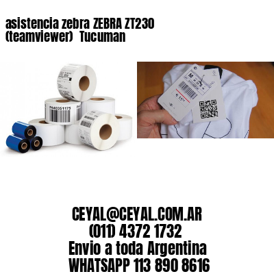 asistencia zebra ZEBRA ZT230 (teamviewer)  Tucuman