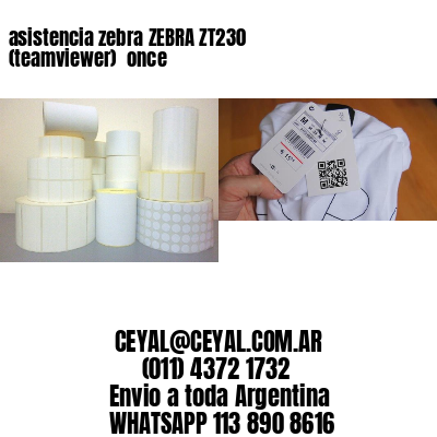 asistencia zebra ZEBRA ZT230 (teamviewer)  once