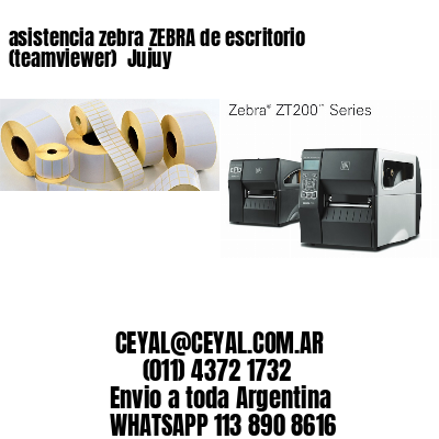asistencia zebra ZEBRA de escritorio (teamviewer)  Jujuy