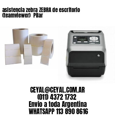 asistencia zebra ZEBRA de escritorio (teamviewer)  Pilar