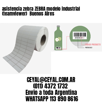 asistencia zebra ZEBRA modelo industrial (teamviewer)  Buenos Aires
