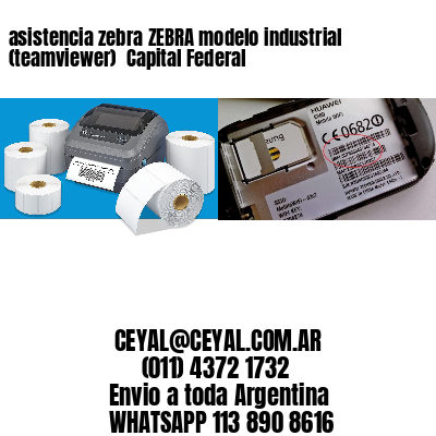 asistencia zebra ZEBRA modelo industrial (teamviewer)  Capital Federal