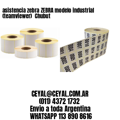 asistencia zebra ZEBRA modelo industrial (teamviewer)  Chubut
