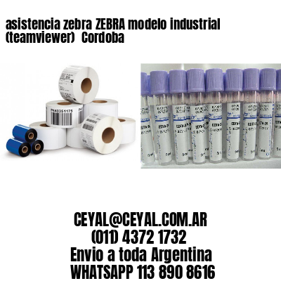 asistencia zebra ZEBRA modelo industrial (teamviewer)  Cordoba
