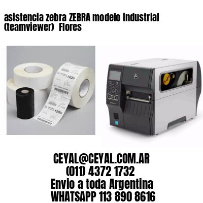asistencia zebra ZEBRA modelo industrial (teamviewer)  Flores