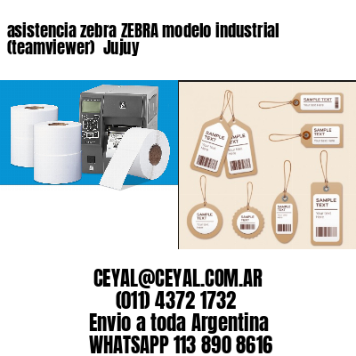 asistencia zebra ZEBRA modelo industrial (teamviewer)  Jujuy