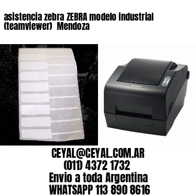 asistencia zebra ZEBRA modelo industrial (teamviewer)  Mendoza