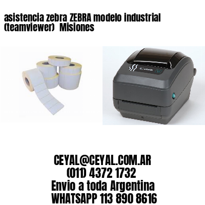 asistencia zebra ZEBRA modelo industrial (teamviewer)  Misiones