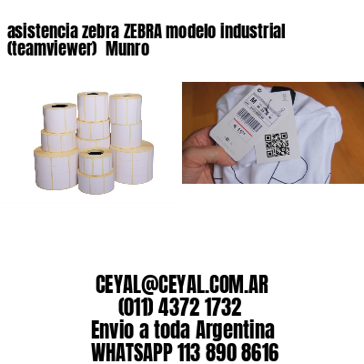 asistencia zebra ZEBRA modelo industrial (teamviewer)  Munro