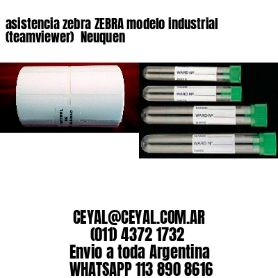 asistencia zebra ZEBRA modelo industrial (teamviewer)  Neuquen