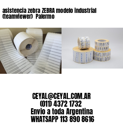 asistencia zebra ZEBRA modelo industrial (teamviewer)  Palermo
