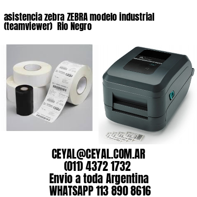 asistencia zebra ZEBRA modelo industrial (teamviewer)  Rio Negro