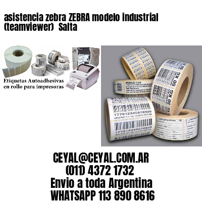 asistencia zebra ZEBRA modelo industrial (teamviewer)  Salta