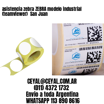 asistencia zebra ZEBRA modelo industrial (teamviewer)  San Juan