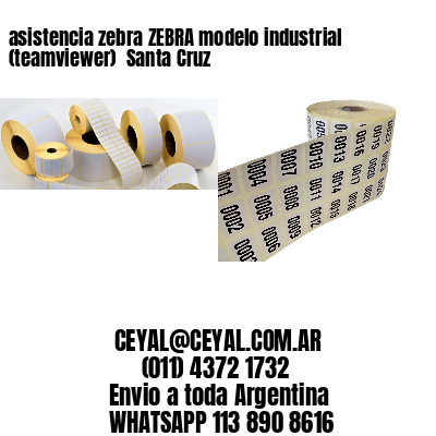 asistencia zebra ZEBRA modelo industrial (teamviewer)  Santa Cruz
