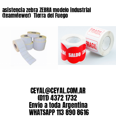 asistencia zebra ZEBRA modelo industrial (teamviewer)  Tierra del Fuego