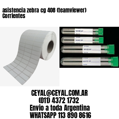 asistencia zebra cg 408 (teamviewer)  Corrientes