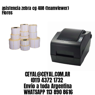 asistencia zebra cg 408 (teamviewer)  Flores