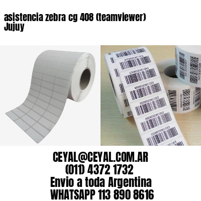 asistencia zebra cg 408 (teamviewer)  Jujuy