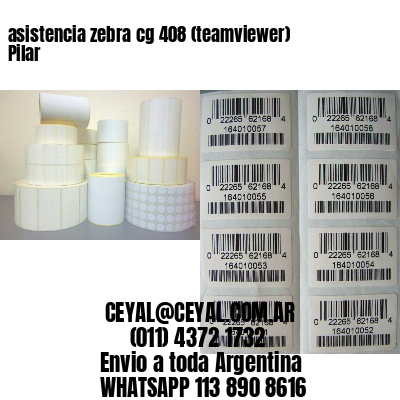 asistencia zebra cg 408 (teamviewer)  Pilar