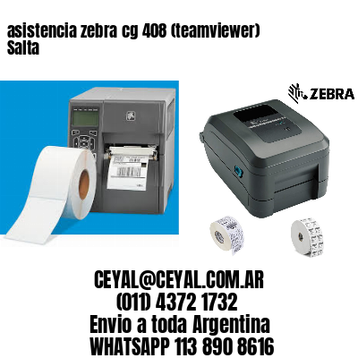 asistencia zebra cg 408 (teamviewer)  Salta
