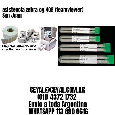 asistencia zebra cg 408 (teamviewer)  San Juan
