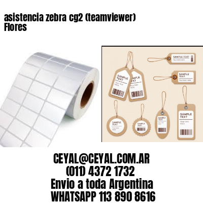 asistencia zebra cg2 (teamviewer)  Flores