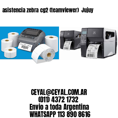 asistencia zebra cg2 (teamviewer)  Jujuy