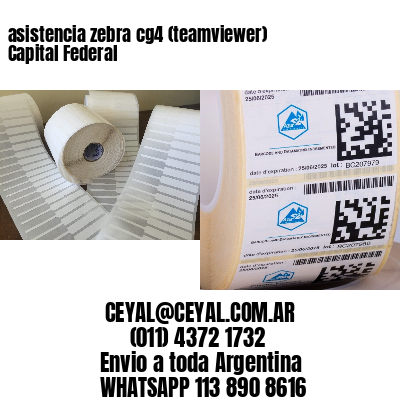 asistencia zebra cg4 (teamviewer)  Capital Federal