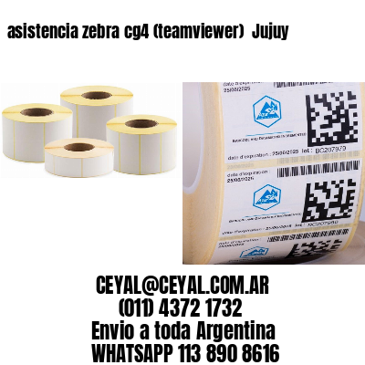asistencia zebra cg4 (teamviewer)  Jujuy