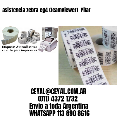 asistencia zebra cg4 (teamviewer)  Pilar