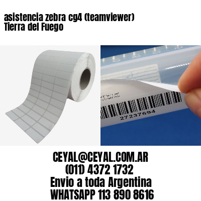 asistencia zebra cg4 (teamviewer)  Tierra del Fuego
