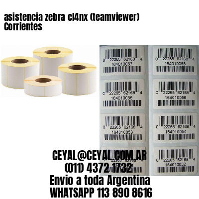 asistencia zebra cl4nx (teamviewer)  Corrientes
