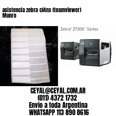 asistencia zebra cl4nx (teamviewer)  Munro