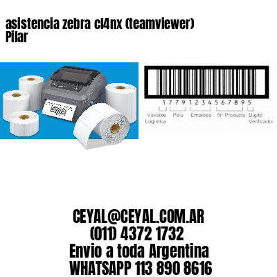 asistencia zebra cl4nx (teamviewer)  Pilar