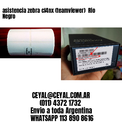 asistencia zebra cl4nx (teamviewer)  Rio Negro