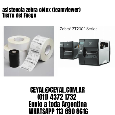 asistencia zebra cl4nx (teamviewer)  Tierra del Fuego