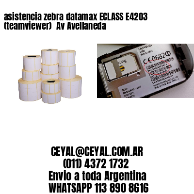 asistencia zebra datamax ECLASS E4203 (teamviewer)  Av Avellaneda