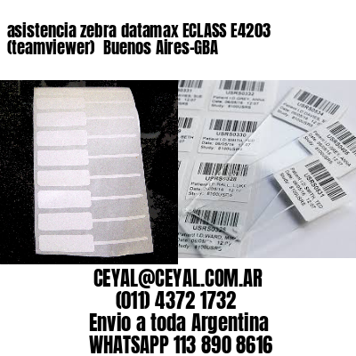 asistencia zebra datamax ECLASS E4203 (teamviewer)  Buenos Aires-GBA